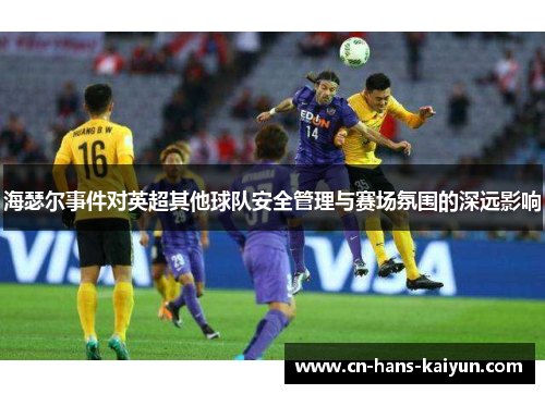 海瑟尔事件对英超其他球队安全管理与赛场氛围的深远影响